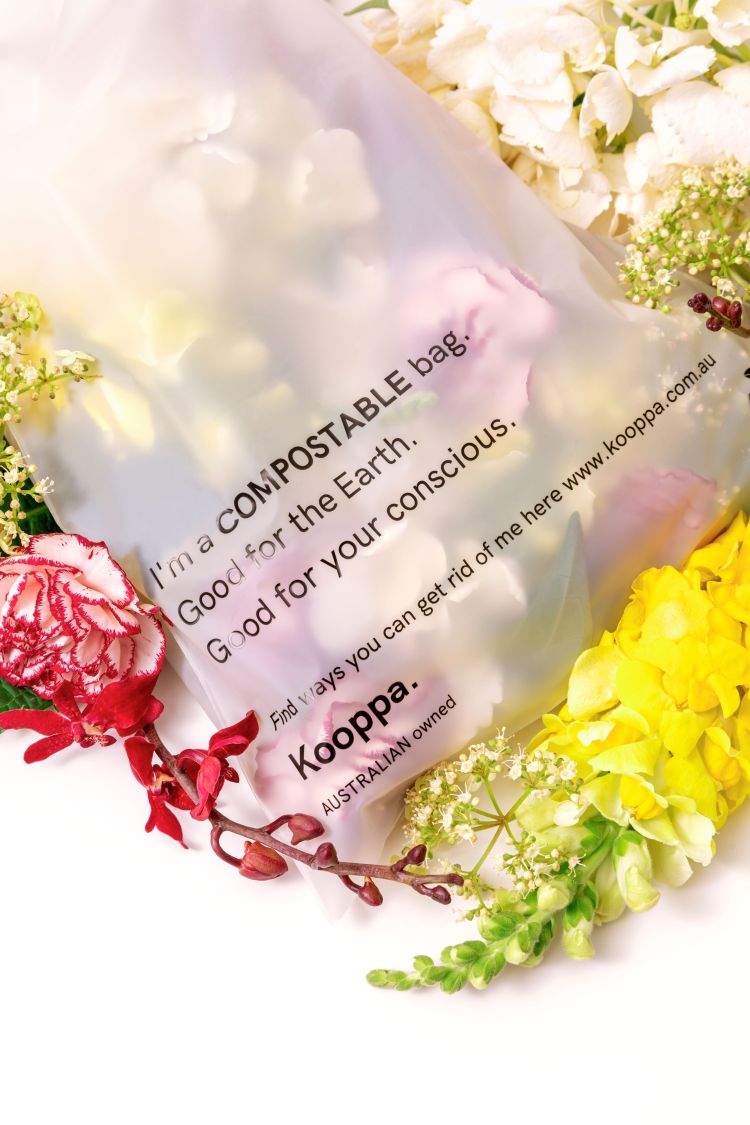 50 X Clear Biodegradable Medium Mailer 250X340mm Compostable Bag Satchels-3