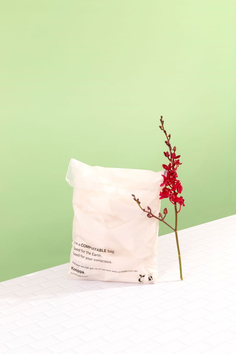 50 X Clear Biodegradable Medium Mailer 250X340mm Compostable Bag Satchels-4